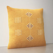 Load image into Gallery viewer, Váci Square Pillow Cover &amp; Insert, Set of 2 pillows
