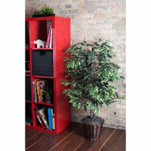 Load image into Gallery viewer, Variegated Ficus Tree in Basket MRM10
