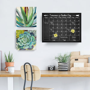 16" H x 20" W x 1.5" D Wall Mounted Dry Erase Board