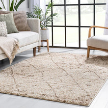 Load image into Gallery viewer, Walraven Moroccan Area Rug in Vanilla 2&#39; x 3&#39;
