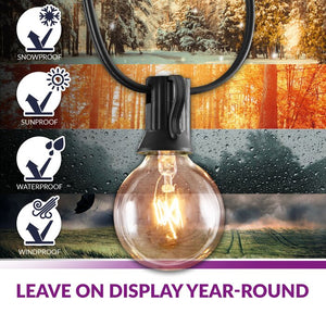 Wayfair Basics 25' Outdoor Plug-in 25 - Bulb Globe String Light (1246ND)