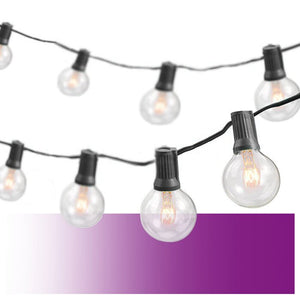 Wayfair Basics 25' Outdoor Plug-in 25 - Bulb Globe String Light (1246ND)
