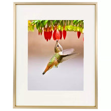 Load image into Gallery viewer, 11&quot; x 14&quot; Gold Wayfair Basics® Aluminum Thin-Border Design Picture Frame
