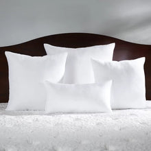 Load image into Gallery viewer, 18&quot; x 18&quot; Wayfair Basics® Pillow Insert, Set of 2 pillow inserts
