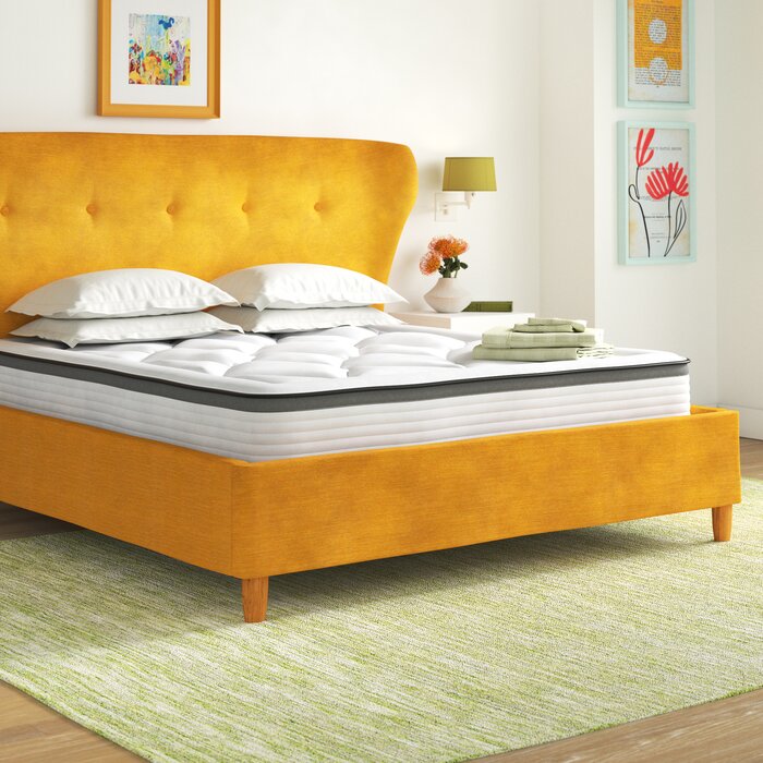 Wayfair Sleep 10.5