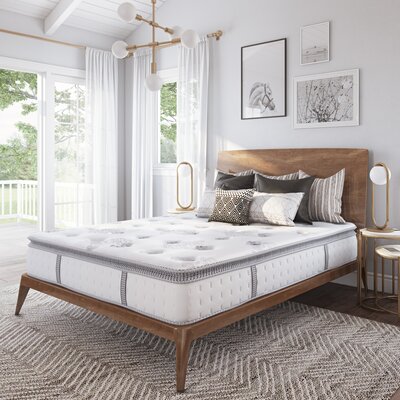 Wayfair Sleep 12