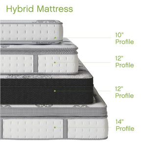 Wayfair Sleep 12" Medium Pillow Top Hybrid Mattress queen