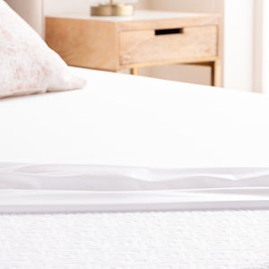 Wayfair Sleep Hypoallergenic and Waterproof Fitted Mattress Protector GL1353
