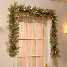 Load image into Gallery viewer, 9&#39; Dunhill Fir Pre-Lit Garland with 50 Warm Clear/White Lights CR5001
