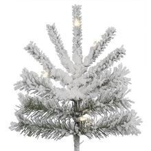 Load image into Gallery viewer, Sierra White Fir Artificial Christmas Tree with Clear/White Lights 6&#39;H #2270HW
