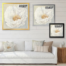 Load image into Gallery viewer, 30&quot; H x 30&quot; W x 1&quot; D White Serene Peony - Picture Frame Print on Canvas
