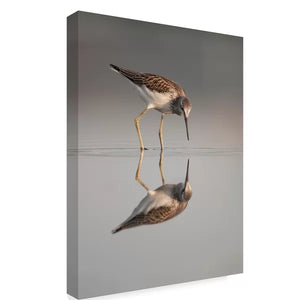 19" H x 14" W x 2" D Who Are You by Olof Petterson - Photograph on Canvas