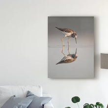 Load image into Gallery viewer, 19&quot; H x 14&quot; W x 2&quot; D Who Are You by Olof Petterson - Photograph on Canvas
