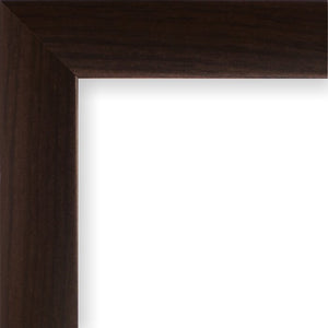 Wide Smooth Wood Grain Picture Frame - Set of 2 (SB251)
