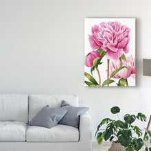 Load image into Gallery viewer, 24&quot; H x 18&quot; W x 2&quot; D Winsome Peonies II by Grace Popp - Painting on Canvas
