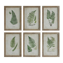 Load image into Gallery viewer, Wood Framed Wall Decor with Fern Fronds (Set of 6 Designs) - 13.75&quot; x 19.75&quot;
