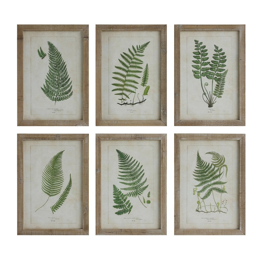 Wood Framed Wall Decor with Fern Fronds (Set of 6 Designs) - 13.75