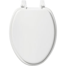 Load image into Gallery viewer, 1400TTA 000 Wood Elongated Toilet Seat EC1429
