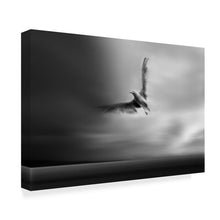 Load image into Gallery viewer, 30&quot; H x 47&quot; W x 2&quot; D Yvette Depaepe Fly Away With Me by Yvette Depaepe - Wrapped Canvas Photograph
