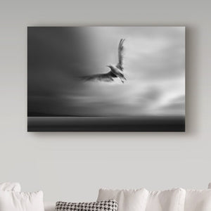 30" H x 47" W x 2" D Yvette Depaepe Fly Away With Me by Yvette Depaepe - Wrapped Canvas Photograph
