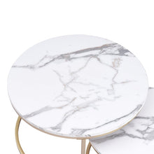 Load image into Gallery viewer, Zeitler 2 Piece Coffee Table Set
