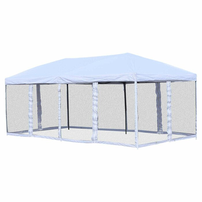 Zermeno 20 Ft. W x 10 Ft. D Steel Party Tent