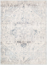 Load image into Gallery viewer, Surya Ankara Oriental Area Rug Pale Blue 3400RR
