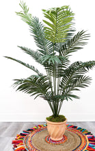 Load image into Gallery viewer, 6’ Artificial Paradise Palm Tree
