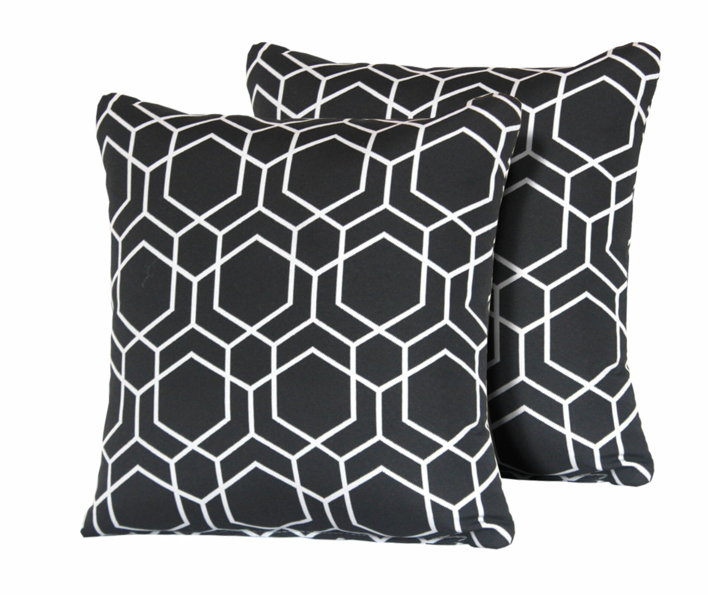 Black Autry Hexagon Square Outdoor Throw Pillow in Black & White (Set of Two)  #9733