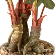 Load image into Gallery viewer, National Tree Artificial 21&quot; Garden Accents Philodendron Flower
