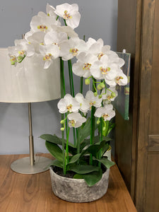 37" Handwrapped Phalaenopsis Orchid Silk Flower Arrangement -Cream/Green