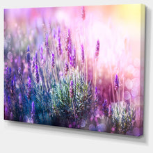 Load image into Gallery viewer, &#39;Growing and Blooming Lavender&#39; Graphic Art on Wrapped Canvas 28” x 60”(1950RR)
