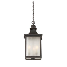 Load image into Gallery viewer, Deshawn 3 -Bulb 22.5&quot; H Outdoor Hanging Lantern Slate(1806RR)
