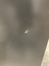 Load image into Gallery viewer, Sanjana 30&quot; Single Bathroom Vanity Set Metro Gray #2206HW - Out Of Box
