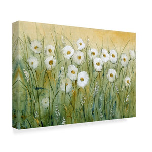 Daisy Spring I' Acrylic Painting Print on Wrapped Canvas(1948RR)
