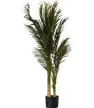 Load image into Gallery viewer, 60&quot; H x 40&quot; W x 40&quot; D Size Artificial Palm Tree Plant in Planter #126HW
