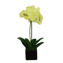 Load image into Gallery viewer, Artificial Baby Orchids Floral Arrangement in Pot 26 CDR
