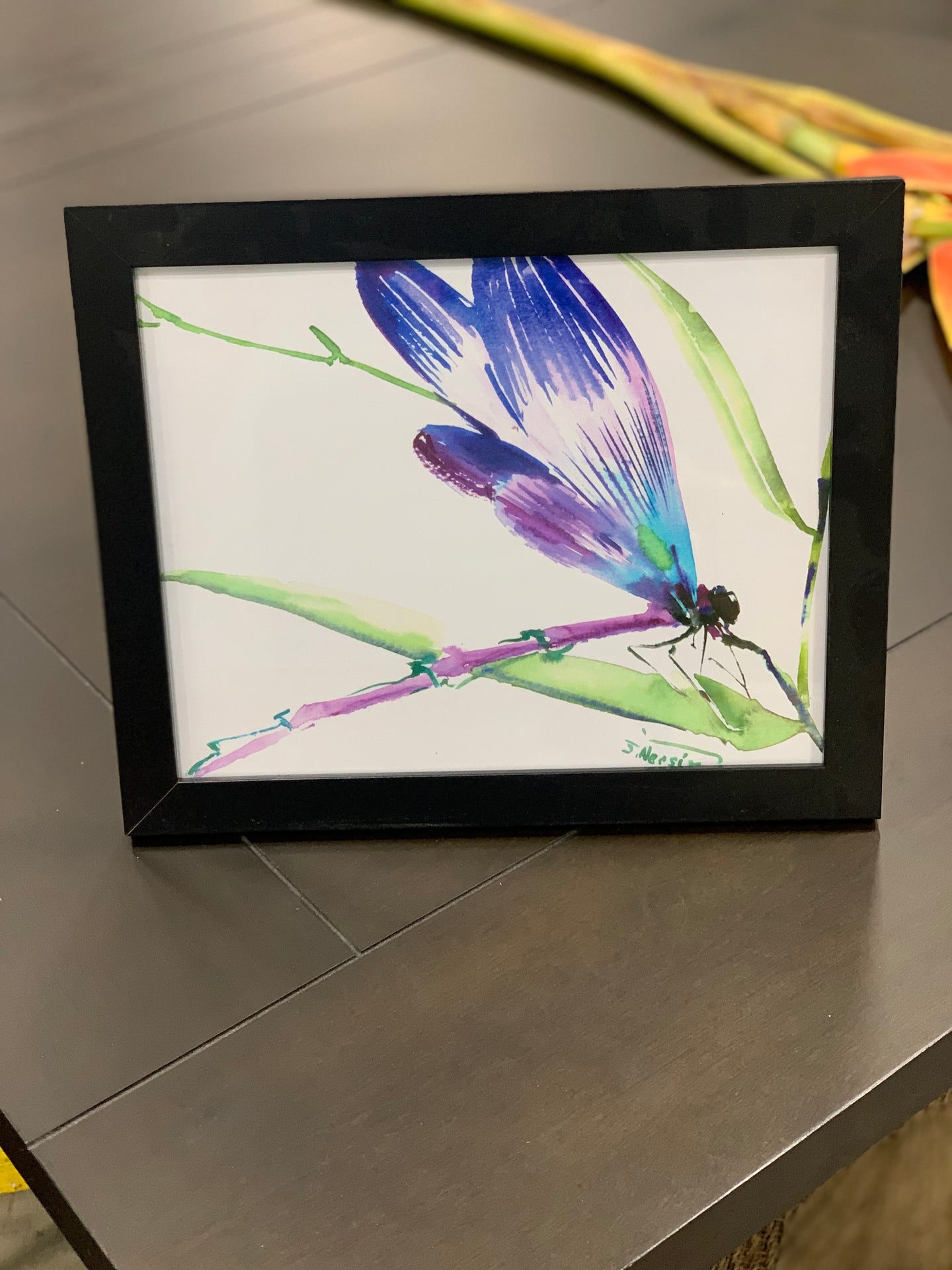Dragonfly framed picture