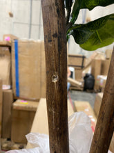 Load image into Gallery viewer, Foliage Tree in Basket #1951HW
