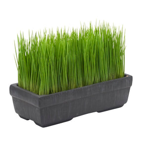 SET OF 4! Artificial Succulent Grass in Planter 145CDR