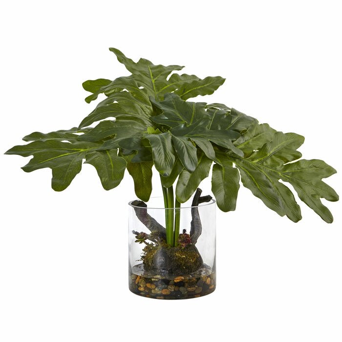 Philodendron Foliage Plant in Decorative Vase #226HW