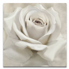 Load image into Gallery viewer, 40&quot; H x 40&quot; W x 1.5&quot; D Gray/White &#39;Dreamy I&#39; Painting on Wrapped Canvas 188CDR
