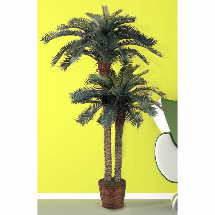Double Tree 62” Artificial Palm Tree in Basket(669)
