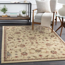 Load image into Gallery viewer, Surya Riley 10 x 13 Khaki Indoor Border Oriental Area Rug 3459RR

