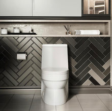 Load image into Gallery viewer, Virage 1-piece 0.8/1.28 GPF Dual Flush Elongated Toilet in White Seat Included #655HW
