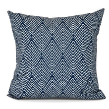 Load image into Gallery viewer, Wayfair Ivy Bronx Outdoor Square Pillow Cover and Insert 104 DC
