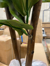 Load image into Gallery viewer, Foliage Tree in Basket #1951HW
