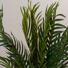 Load image into Gallery viewer, 60&quot; H x 40&quot; W x 40&quot; D Size Artificial Palm Tree Plant in Planter #126HW
