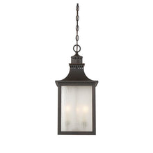 Load image into Gallery viewer, Deshawn 3 -Bulb 22.5&quot; H Outdoor Hanging Lantern Slate(1806RR)
