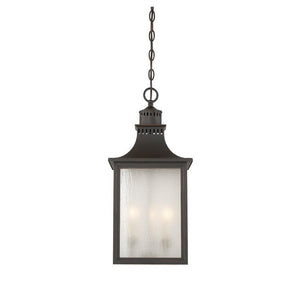 Deshawn 3 -Bulb 22.5" H Outdoor Hanging Lantern Slate(1806RR)